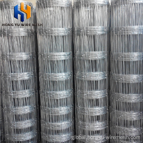 Galvanized Wire Fence galvanized wire fence goat farming fence Manufactory